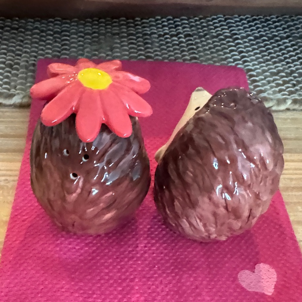 Adorable Hedgehog Couple Ceramic Salt & Pepper - Picture 2 of 3